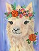 Alpaca