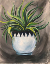 House Plant