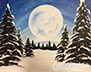 Winter Wonderland