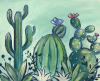 Cactus Garden
