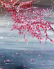 Blossoms Afloat