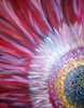 Red Daisy