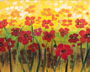 Field of Poppies
