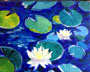 Water Lillies