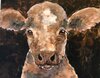 Country Cow