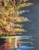 Autumn Reflections