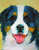 Paint Your Pet